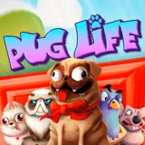 Bocoran RTP Slot Hackshaw Pug Life